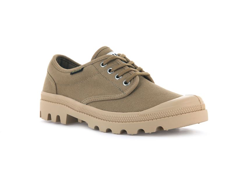 Palladium Pallabrousse Oxford Men's Low Tops Olive | 509873-VRO