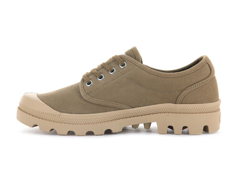 Palladium Pallabrousse Oxford Men's Low Tops Olive | 509873-VRO